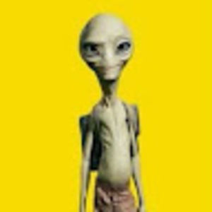 Meet your Posher, Leeam